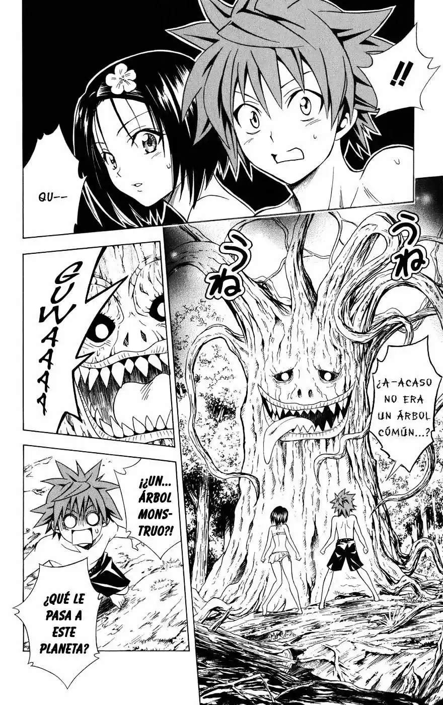 To LOVE-Ru Trouble (2006) - Capítulo 69 - Página 12 - LectorTMOo