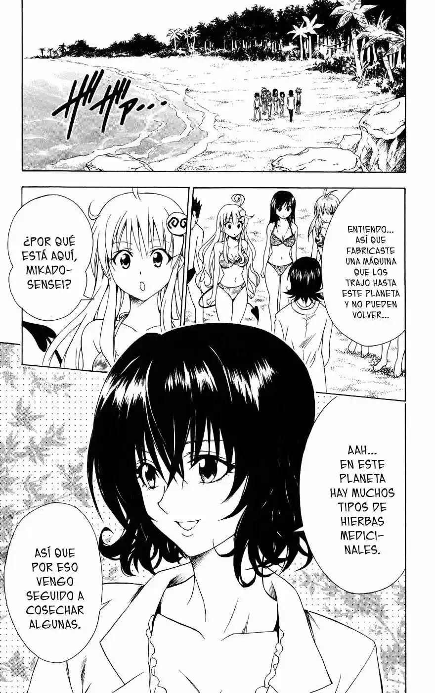 To LOVE-Ru Trouble (2006) - Capítulo 69 - Página 19 - LectorTMOo