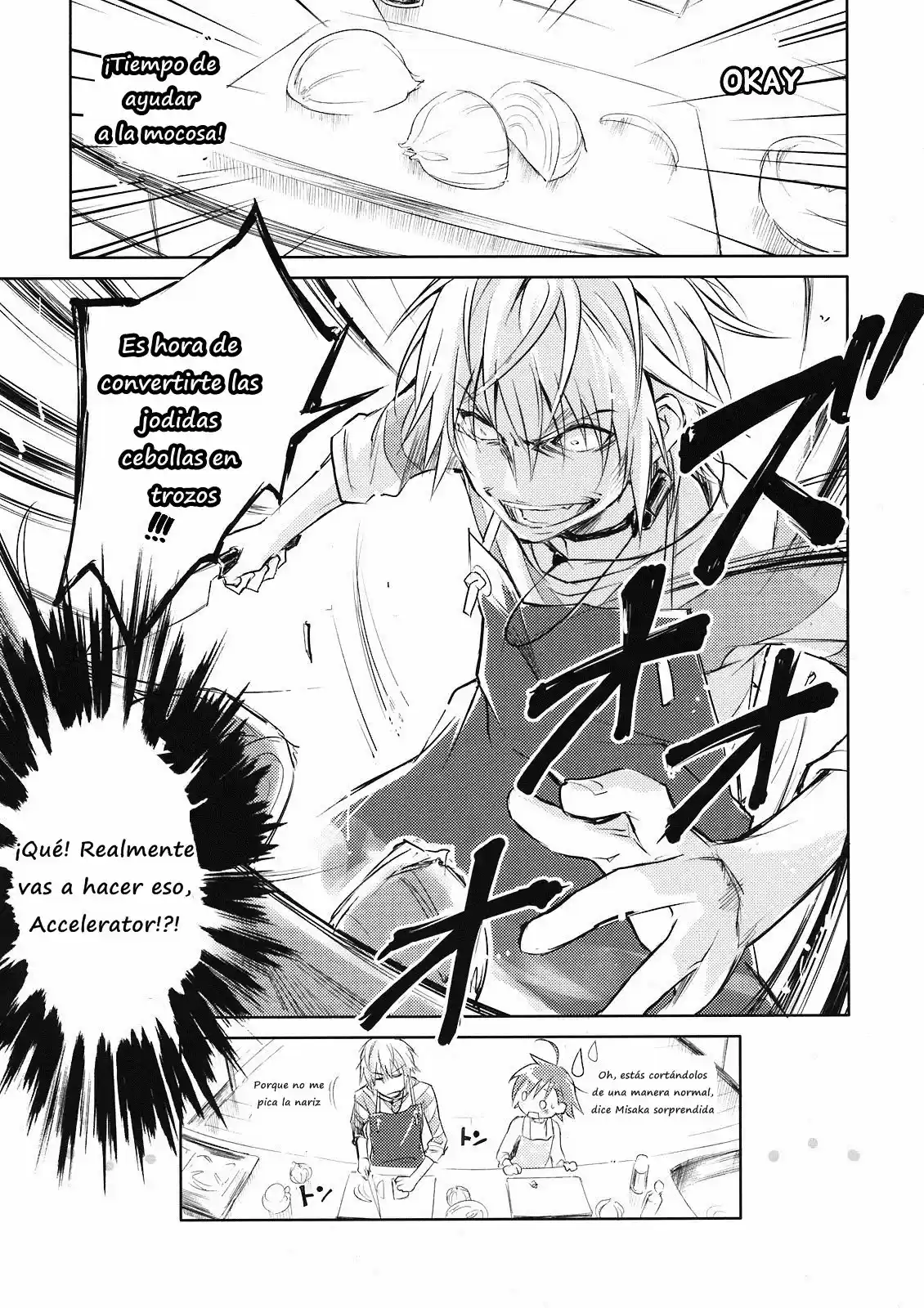 Toaru Majutsu no Index (2007) - Capítulo 98.5 - Página 13 - LectorTMOo