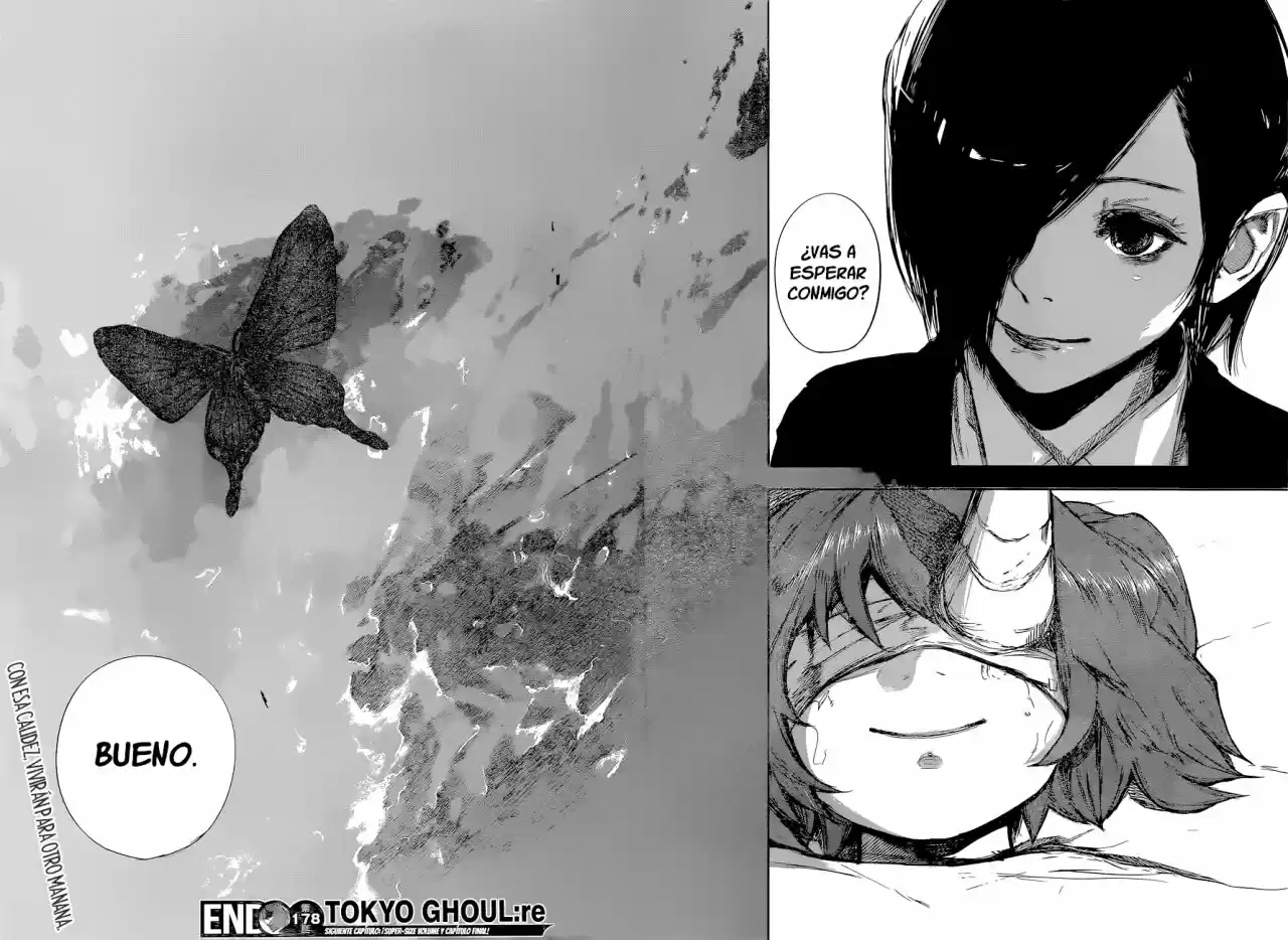 Tokyo Ghoul:re (2014) - Capítulo 178 - Página 15 - LectorTMOo