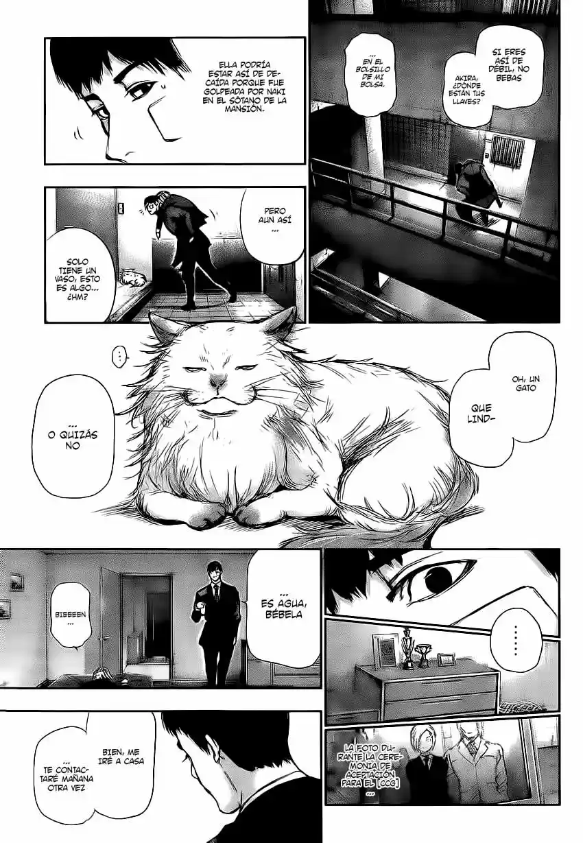 Tokyo Ghoul (2011) - Capítulo 110 - Página 19 - LectorTMOo