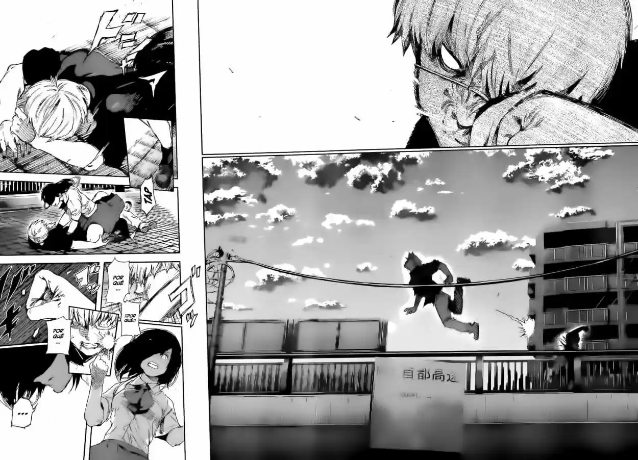 Tokyo Ghoul (2011) - Capítulo 120 - Página 16 - LectorTMOo