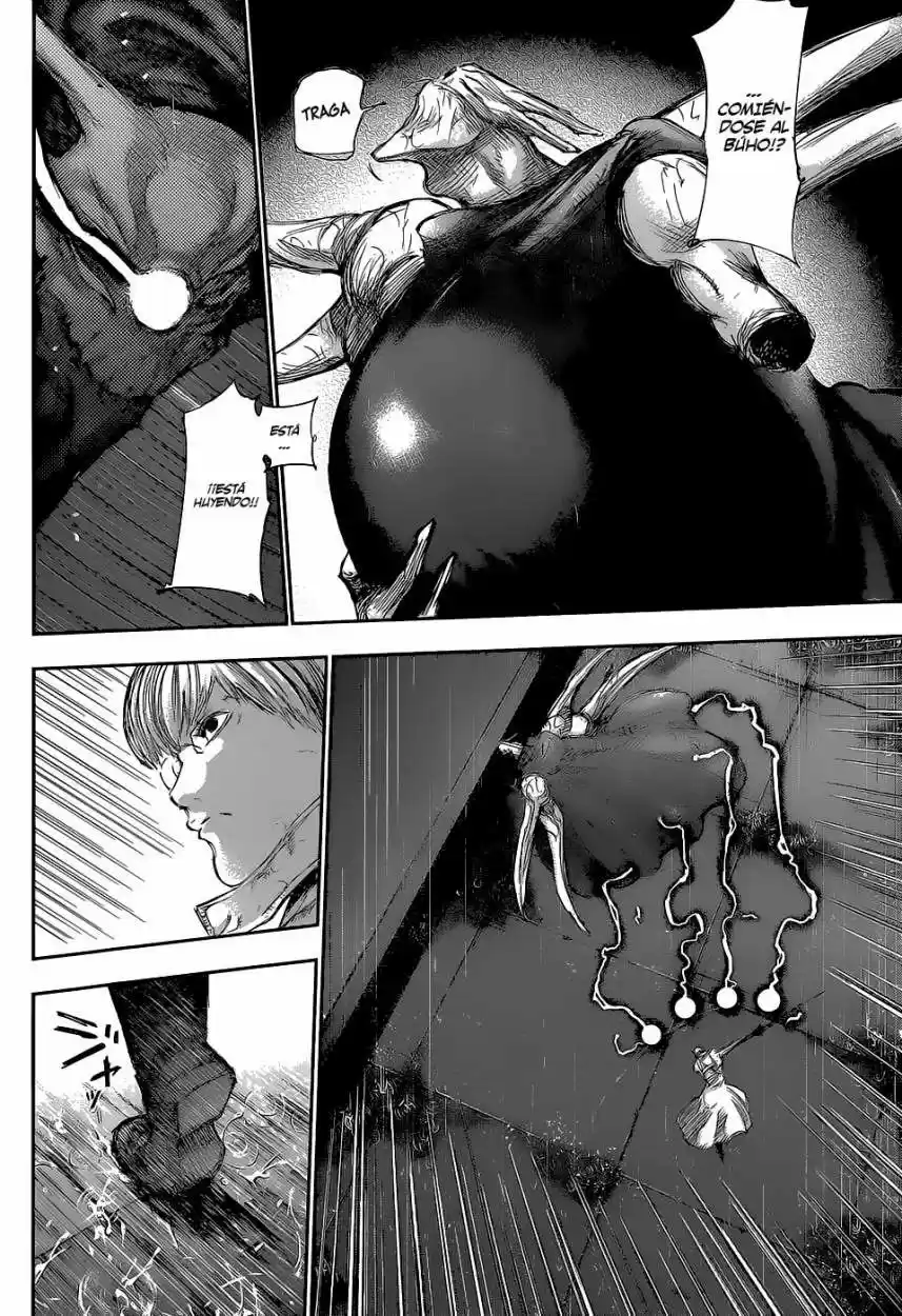 Tokyo Ghoul (2011) - Capítulo 142 - Página 13 - LectorTMOo