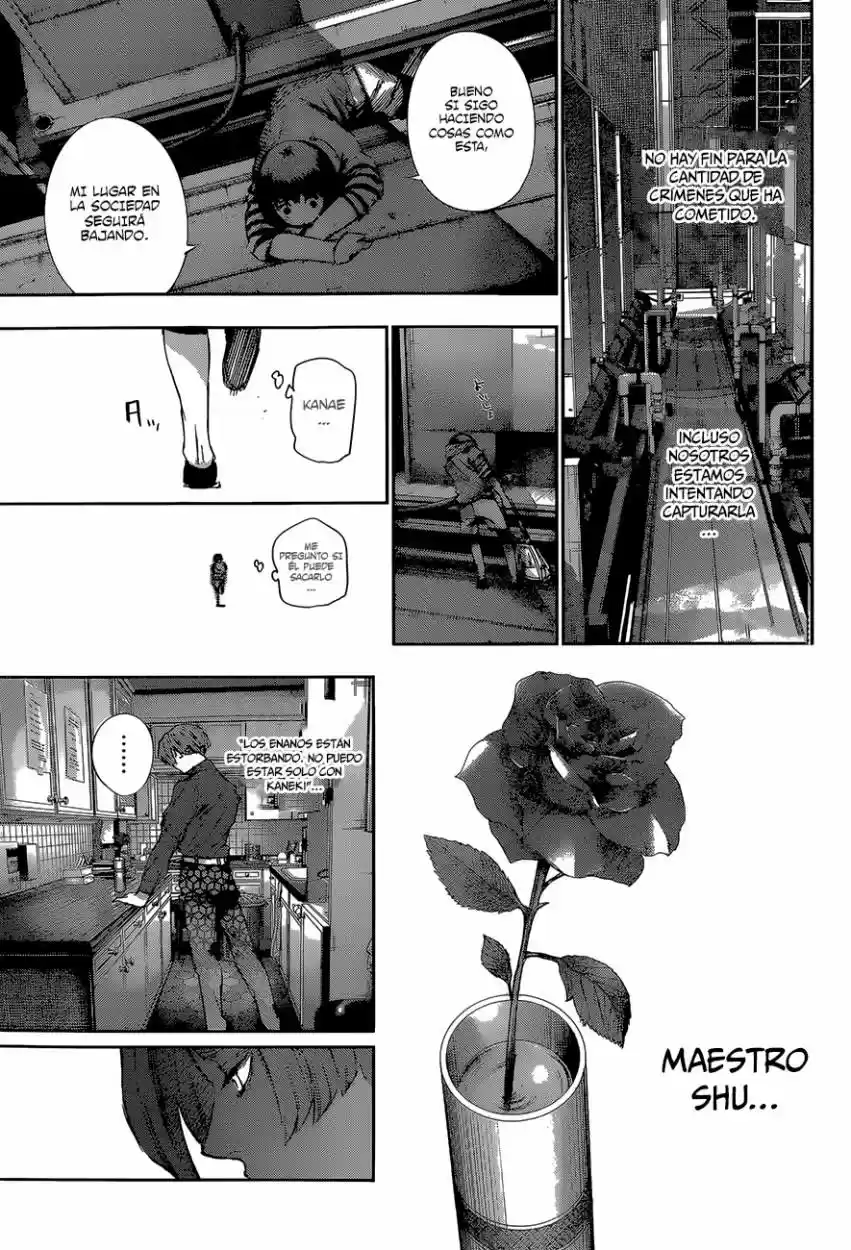 Tokyo Ghoul (2011) - Capítulo 182 - Página 19 - LectorTMOo