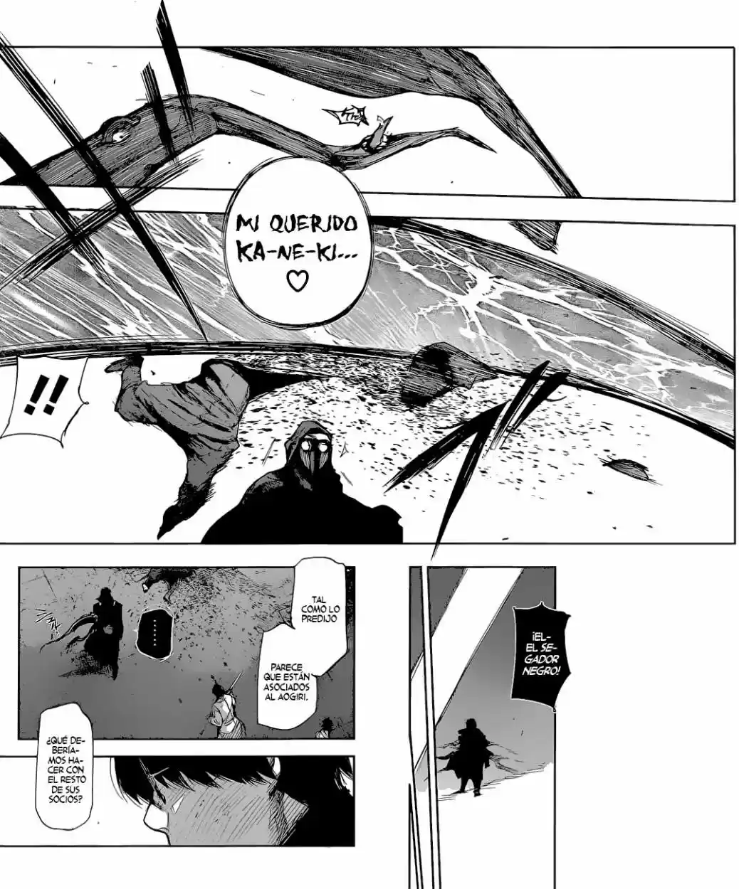 Tokyo Ghoul (2011) - Capítulo 199 - Página 17 - LectorTMOo