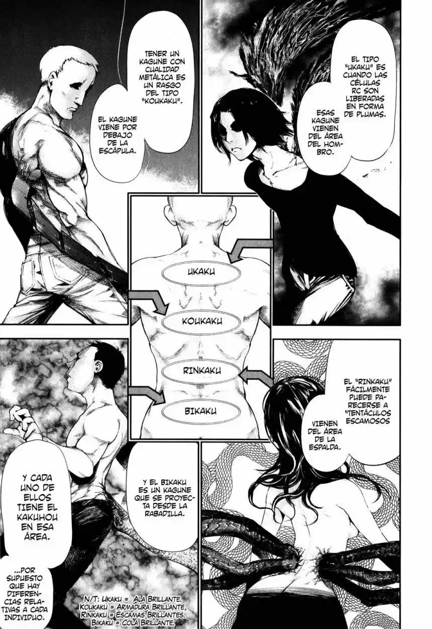 Tokyo Ghoul (2011) - Capítulo 53 - Página 13 - LectorTMOo