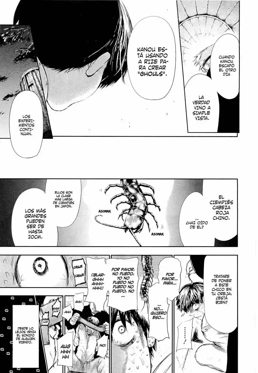 Tokyo Ghoul (2011) - Capítulo 61 - Página 17 - LectorTMOo