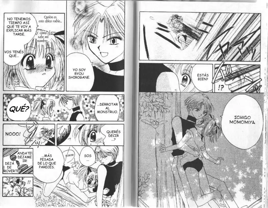 Tokyo Mew Mew (Mew Mew Power) (2000) - Capítulo 1 - Página 21 - LectorTMOo