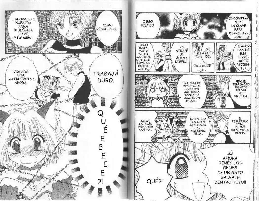 Tokyo Mew Mew (Mew Mew Power) (2000) - Capítulo 1 - Página 26 - LectorTMOo
