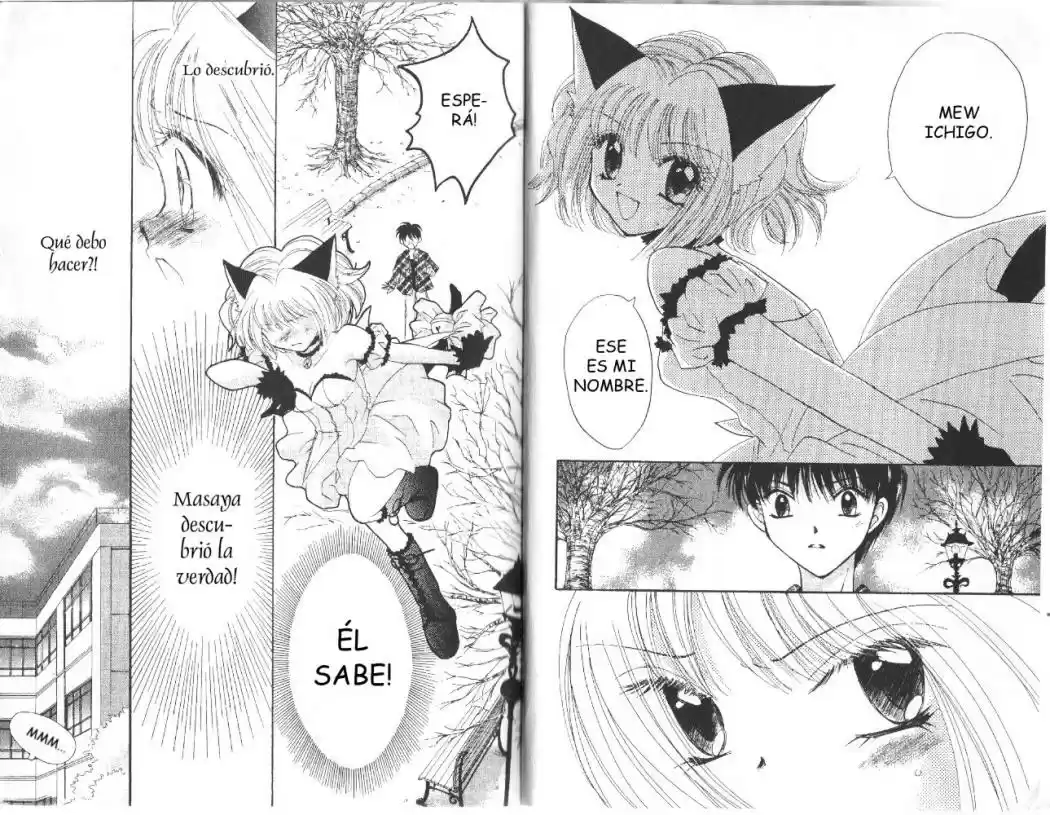 Tokyo Mew Mew (Mew Mew Power) (2000) - Capítulo 10 - Página 4 - LectorTMOo