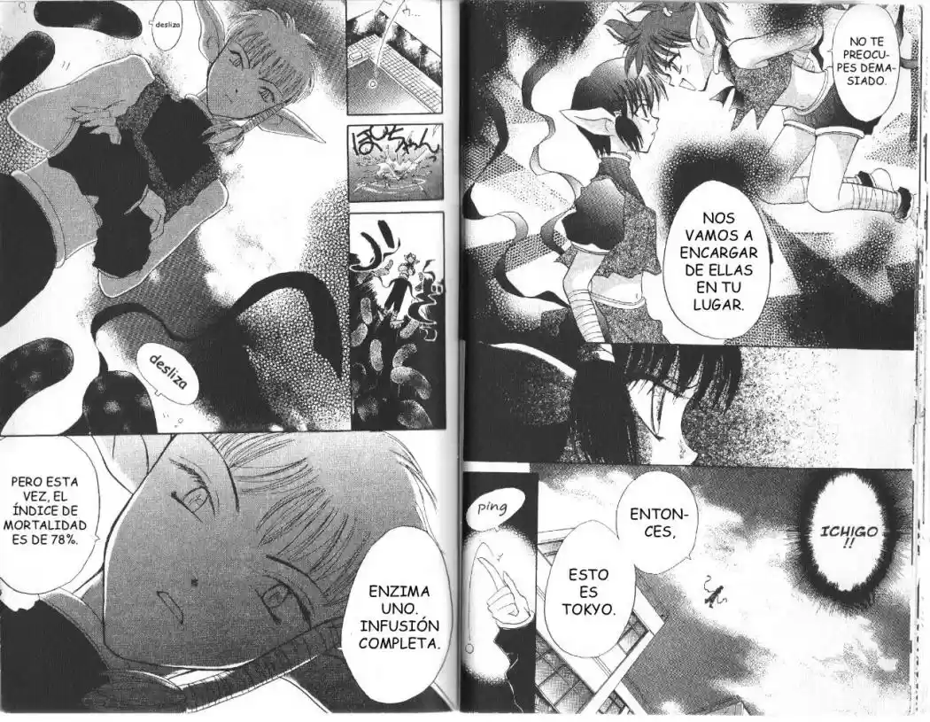 Tokyo Mew Mew (Mew Mew Power) (2000) - Capítulo 10 - Página 10 - LectorTMOo