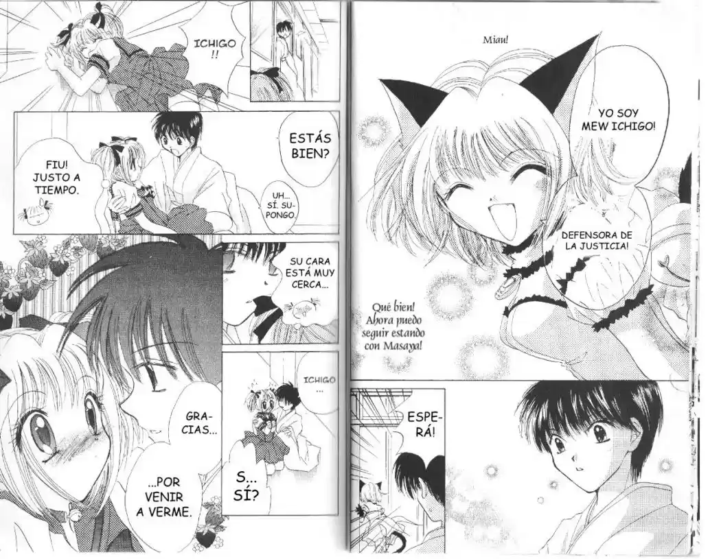 Tokyo Mew Mew (Mew Mew Power) (2000) - Capítulo 10 - Página 17 - LectorTMOo