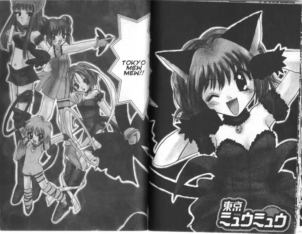 Tokyo Mew Mew (Mew Mew Power) (2000) - Capítulo 11 - Página 18 - LectorTMOo