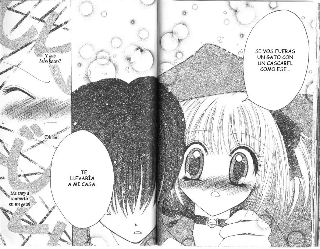Tokyo Mew Mew (Mew Mew Power) (2000) - Capítulo 12 - Página 14 - LectorTMOo