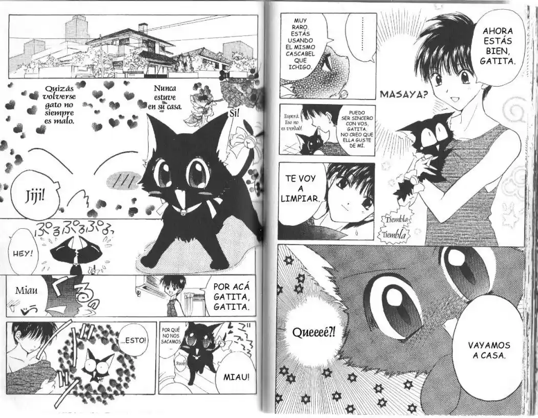 Tokyo Mew Mew (Mew Mew Power) (2000) - Capítulo 12 - Página 17 - LectorTMOo