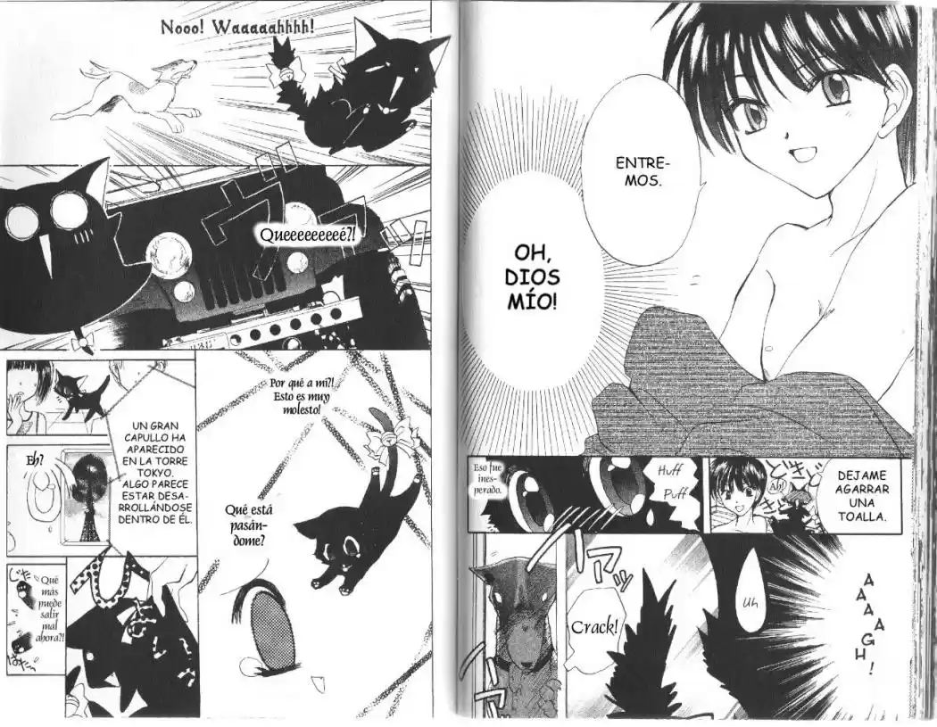 Tokyo Mew Mew (Mew Mew Power) (2000) - Capítulo 12 - Página 18 - LectorTMOo