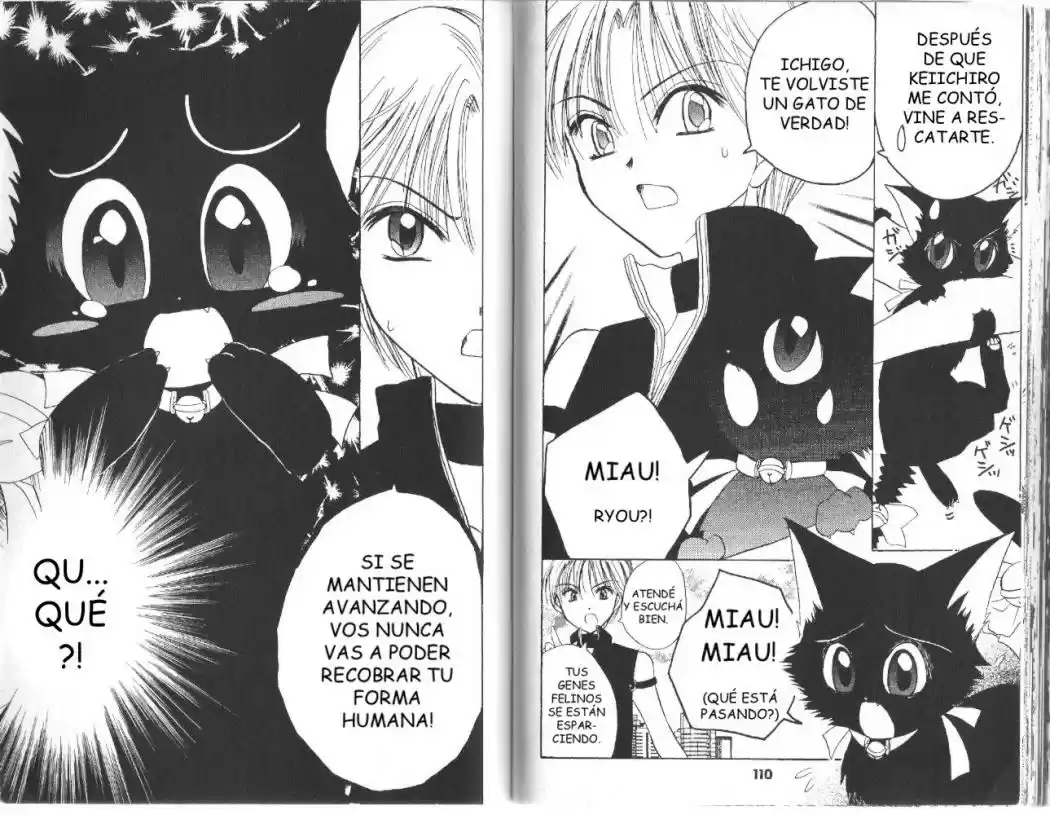 Tokyo Mew Mew (Mew Mew Power) (2000) - Capítulo 12 - Página 19 - LectorTMOo