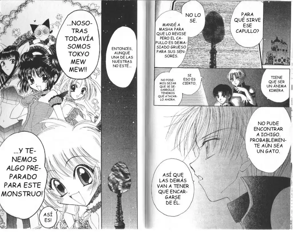 Tokyo Mew Mew (Mew Mew Power) (2000) - Capítulo 13 - Página 5 - LectorTMOo