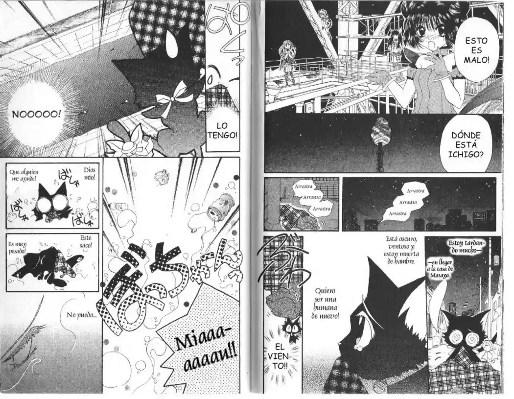 Tokyo Mew Mew (Mew Mew Power) (2000) - Capítulo 13 - Página 9 - LectorTMOo