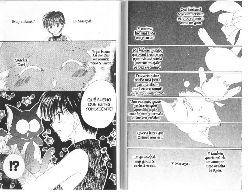 Tokyo Mew Mew (Mew Mew Power) (2000) - Capítulo 13 - Página 10 - LectorTMOo