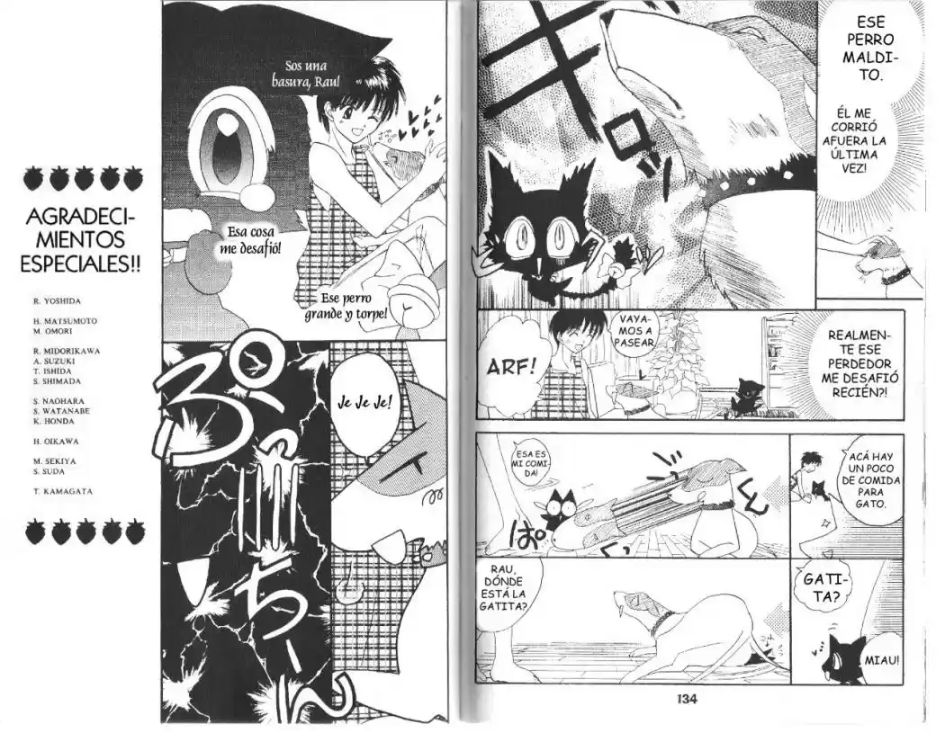 Tokyo Mew Mew (Mew Mew Power) (2000) - Capítulo 13 - Página 12 - LectorTMOo