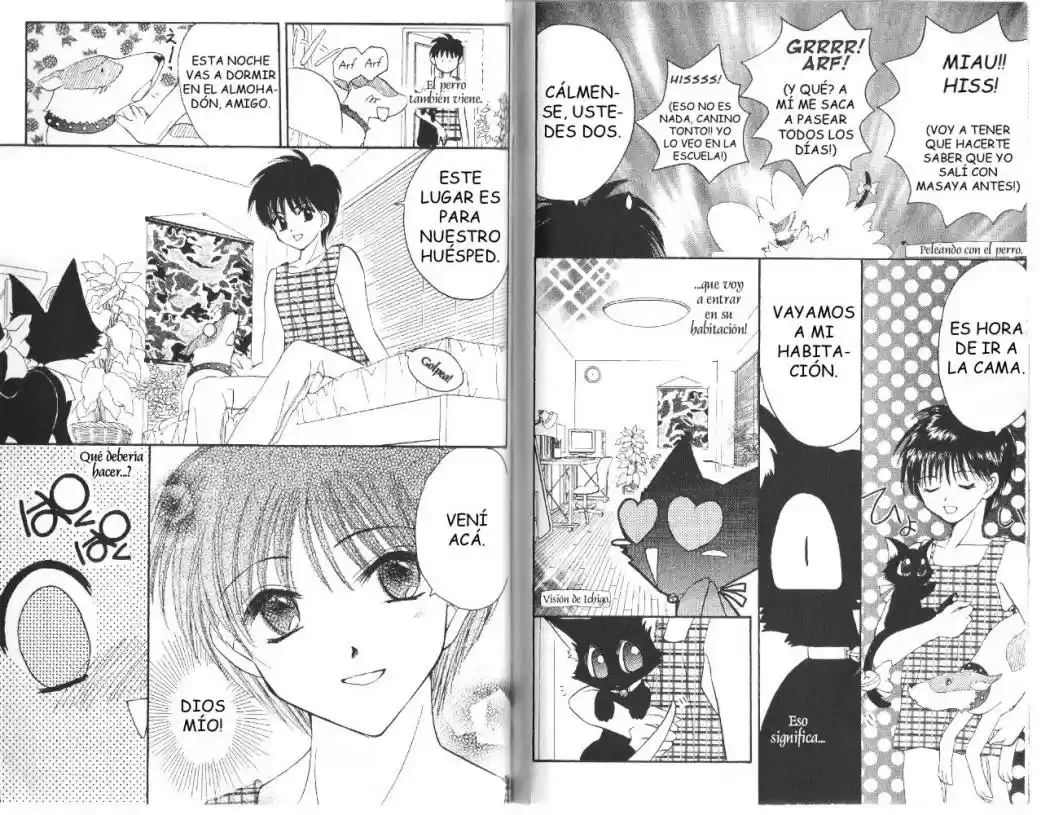 Tokyo Mew Mew (Mew Mew Power) (2000) - Capítulo 13 - Página 13 - LectorTMOo