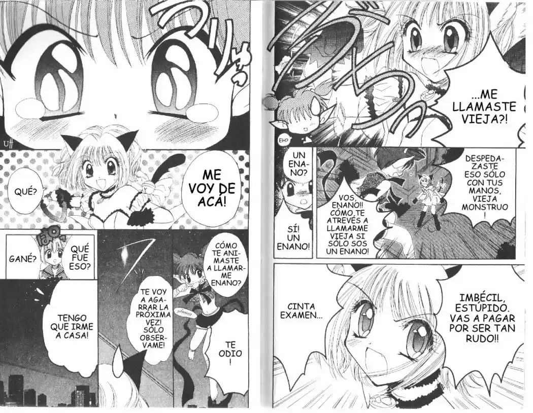 Tokyo Mew Mew (Mew Mew Power) (2000) - Capítulo 14 - Página 10 - LectorTMOo