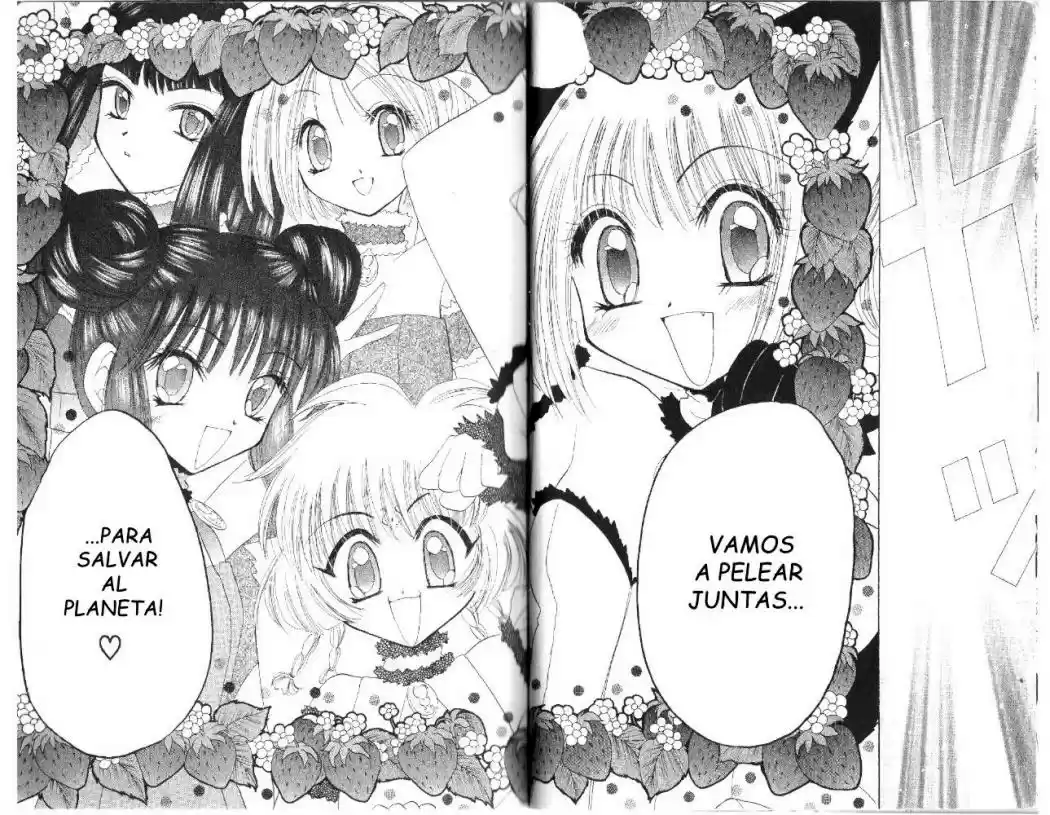 Tokyo Mew Mew (Mew Mew Power) (2000) - Capítulo 15 - Página 15 - LectorTMOo