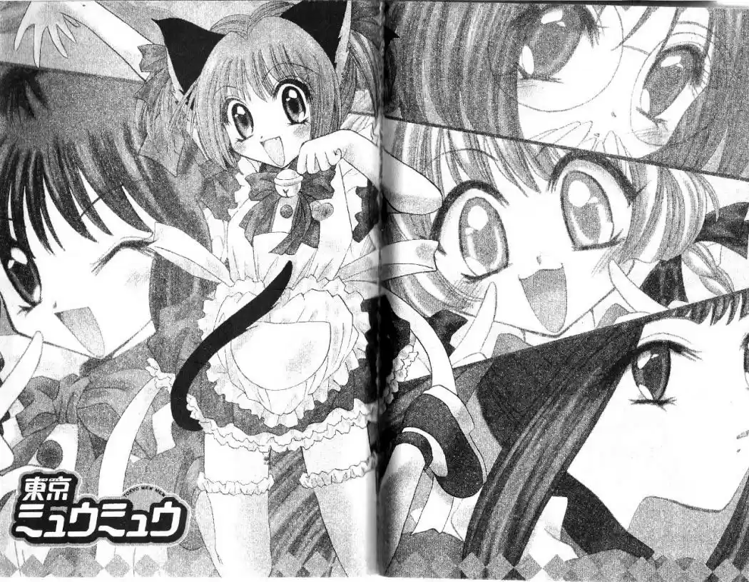 Tokyo Mew Mew (Mew Mew Power) (2000) - Capítulo 15 - Página 23 - LectorTMOo