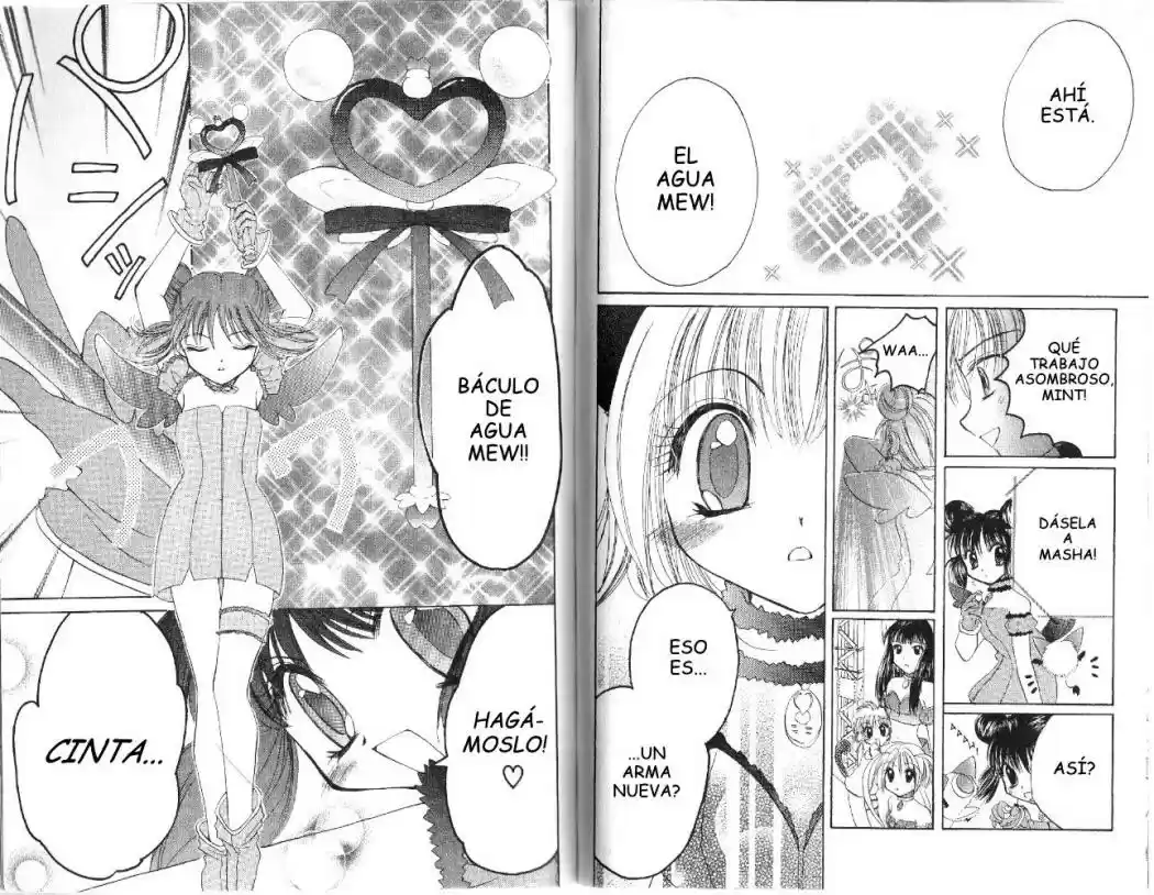 Tokyo Mew Mew (Mew Mew Power) (2000) - Capítulo 16 - Página 10 - LectorTMOo