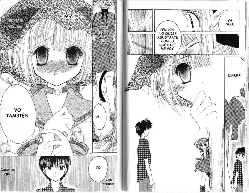 Tokyo Mew Mew (Mew Mew Power) (2000) - Capítulo 17 - Página 4 - LectorTMOo