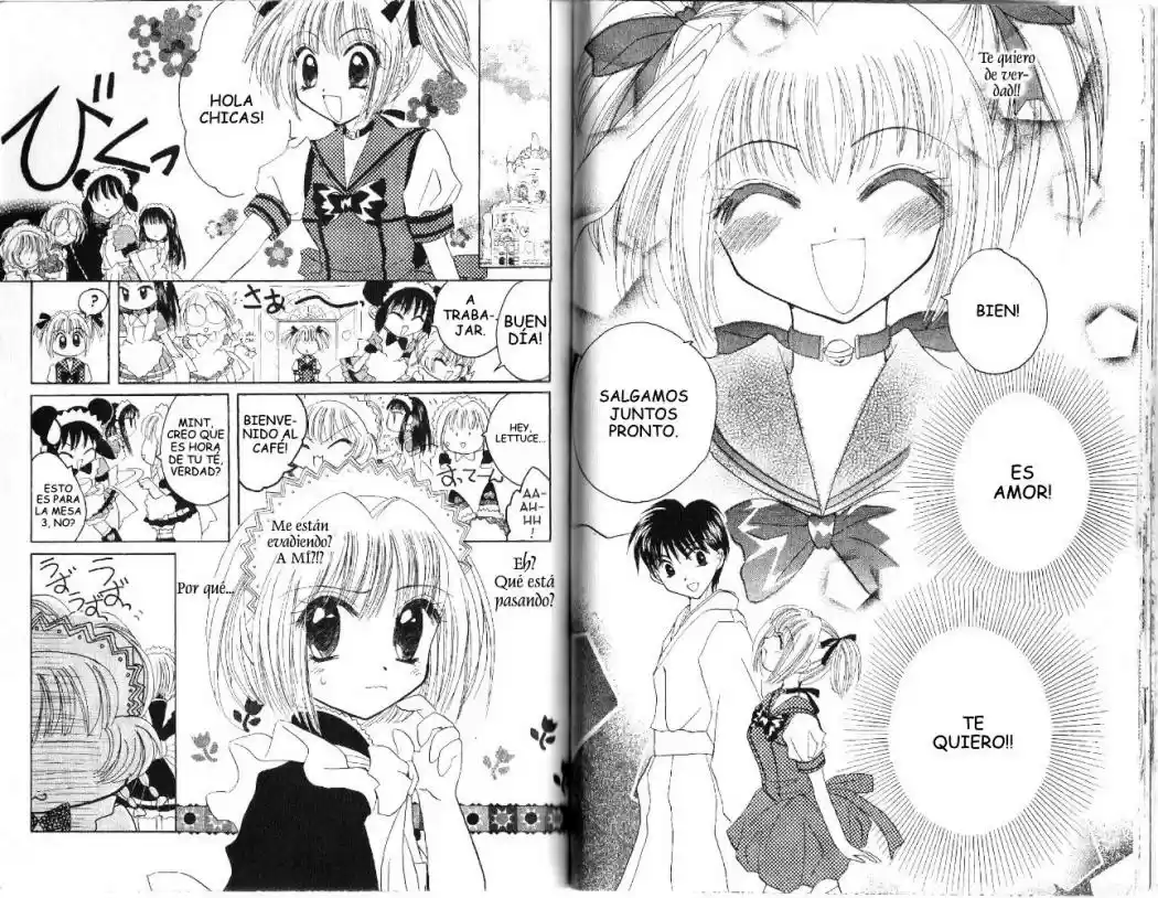 Tokyo Mew Mew (Mew Mew Power) (2000) - Capítulo 17 - Página 10 - LectorTMOo