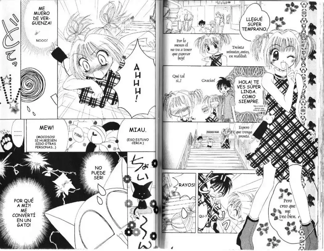 Tokyo Mew Mew (Mew Mew Power) (2000) - Capítulo 17 - Página 14 - LectorTMOo