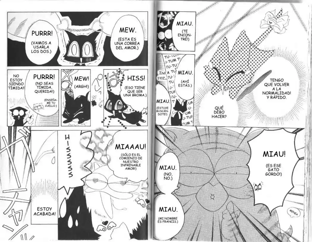 Tokyo Mew Mew (Mew Mew Power) (2000) - Capítulo 17 - Página 15 - LectorTMOo