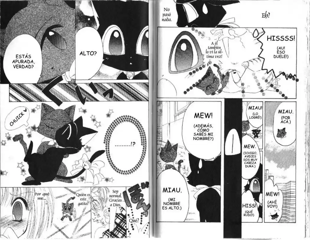 Tokyo Mew Mew (Mew Mew Power) (2000) - Capítulo 17 - Página 16 - LectorTMOo