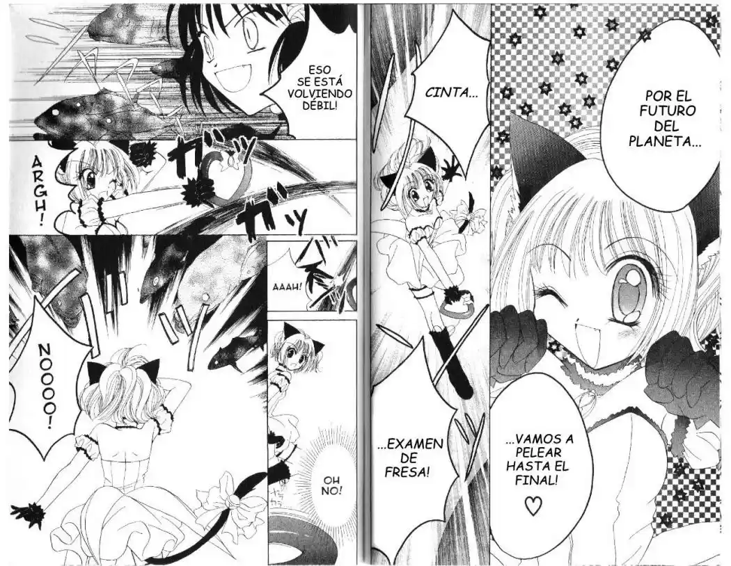 Tokyo Mew Mew (Mew Mew Power) (2000) - Capítulo 17 - Página 21 - LectorTMOo