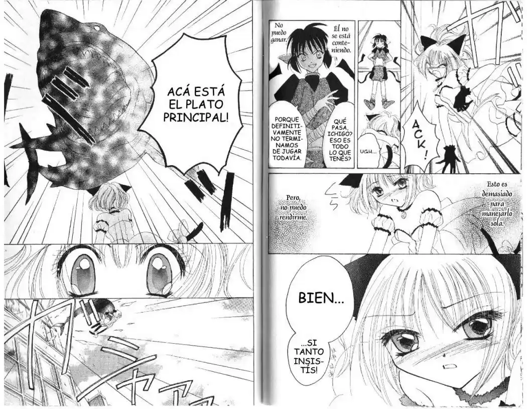 Tokyo Mew Mew (Mew Mew Power) (2000) - Capítulo 17 - Página 22 - LectorTMOo