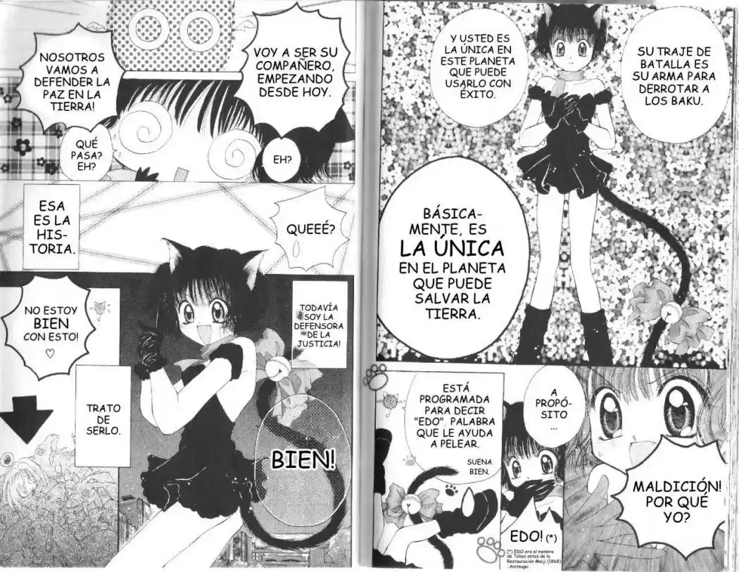 Tokyo Mew Mew (Mew Mew Power) (2000) - Capítulo 18 - Página 6 - LectorTMOo