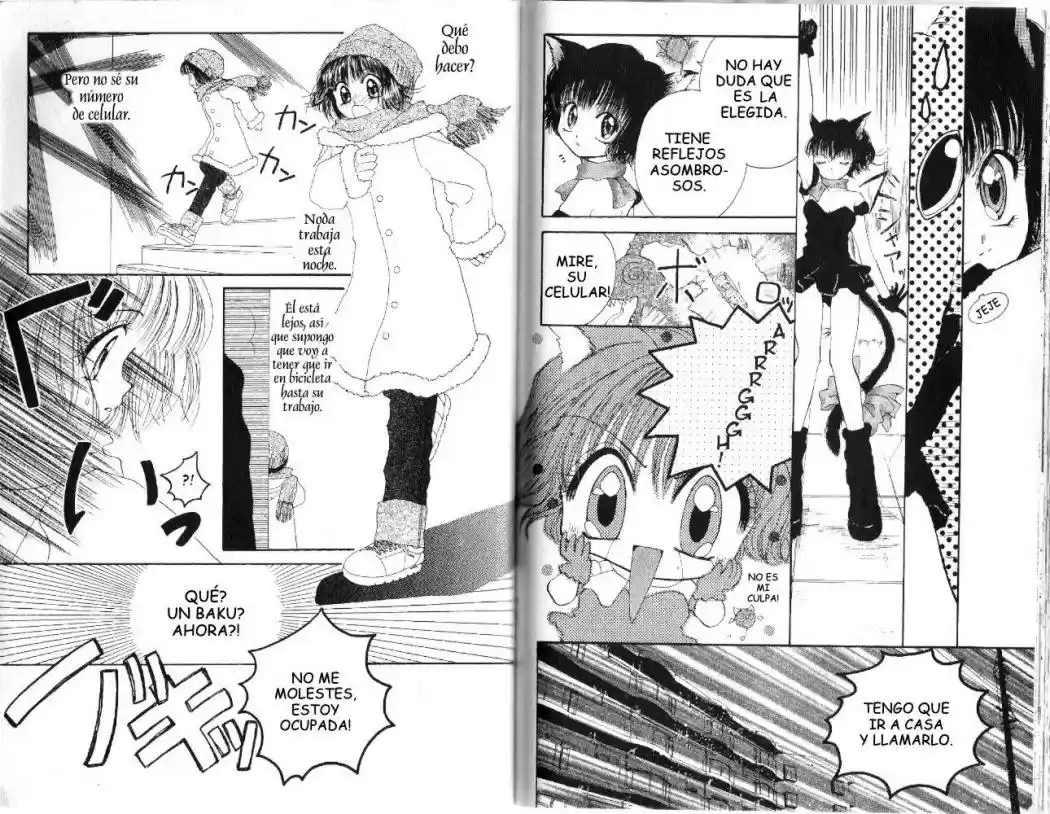 Tokyo Mew Mew (Mew Mew Power) (2000) - Capítulo 18 - Página 11 - LectorTMOo