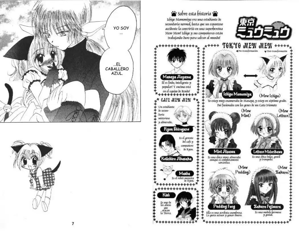 Tokyo Mew Mew (Mew Mew Power) (2000) - Capítulo 19 - Página 4 - LectorTMOo