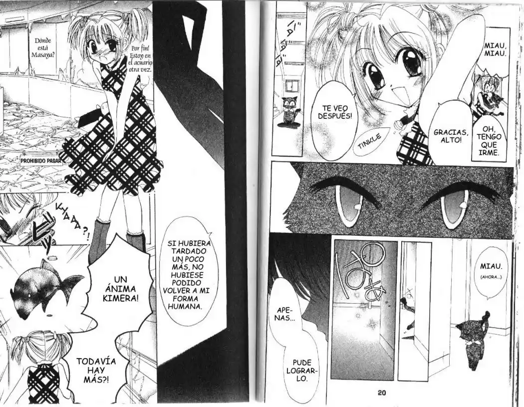 Tokyo Mew Mew (Mew Mew Power) (2000) - Capítulo 19 - Página 11 - LectorTMOo