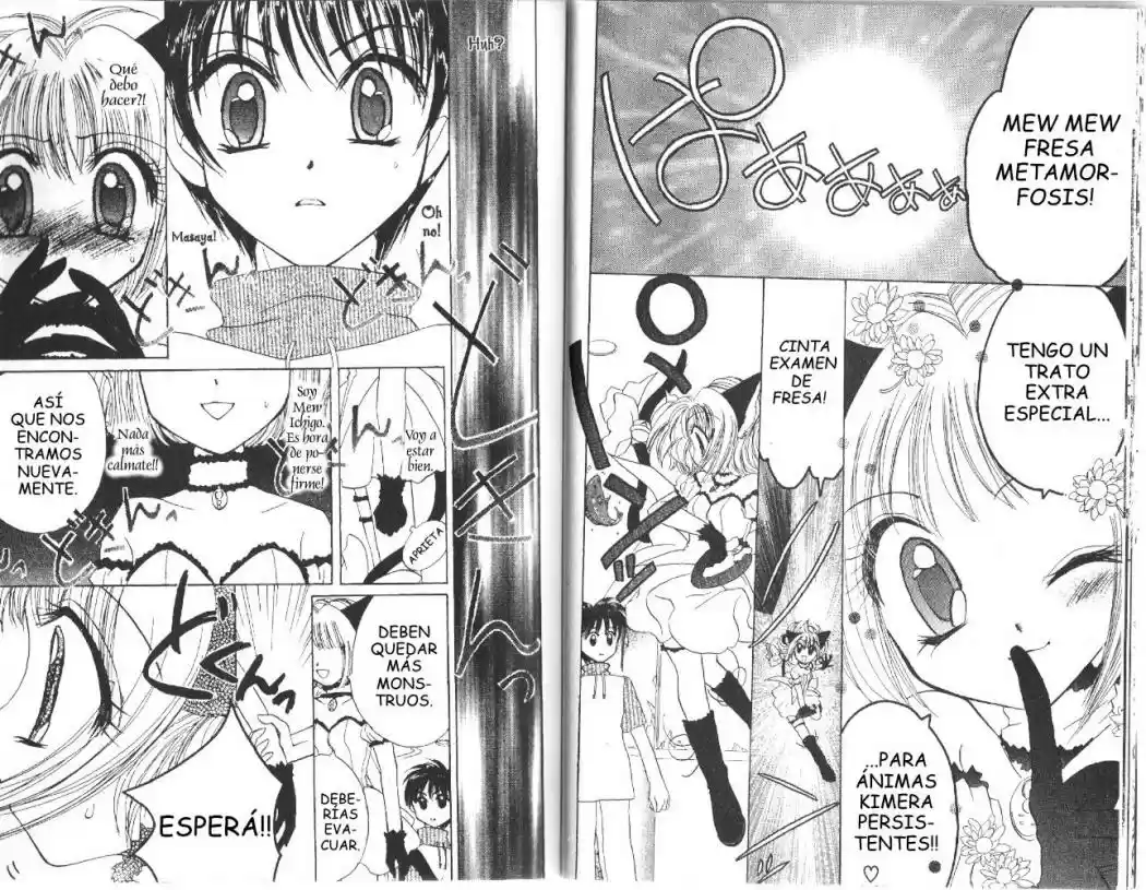 Tokyo Mew Mew (Mew Mew Power) (2000) - Capítulo 19 - Página 12 - LectorTMOo