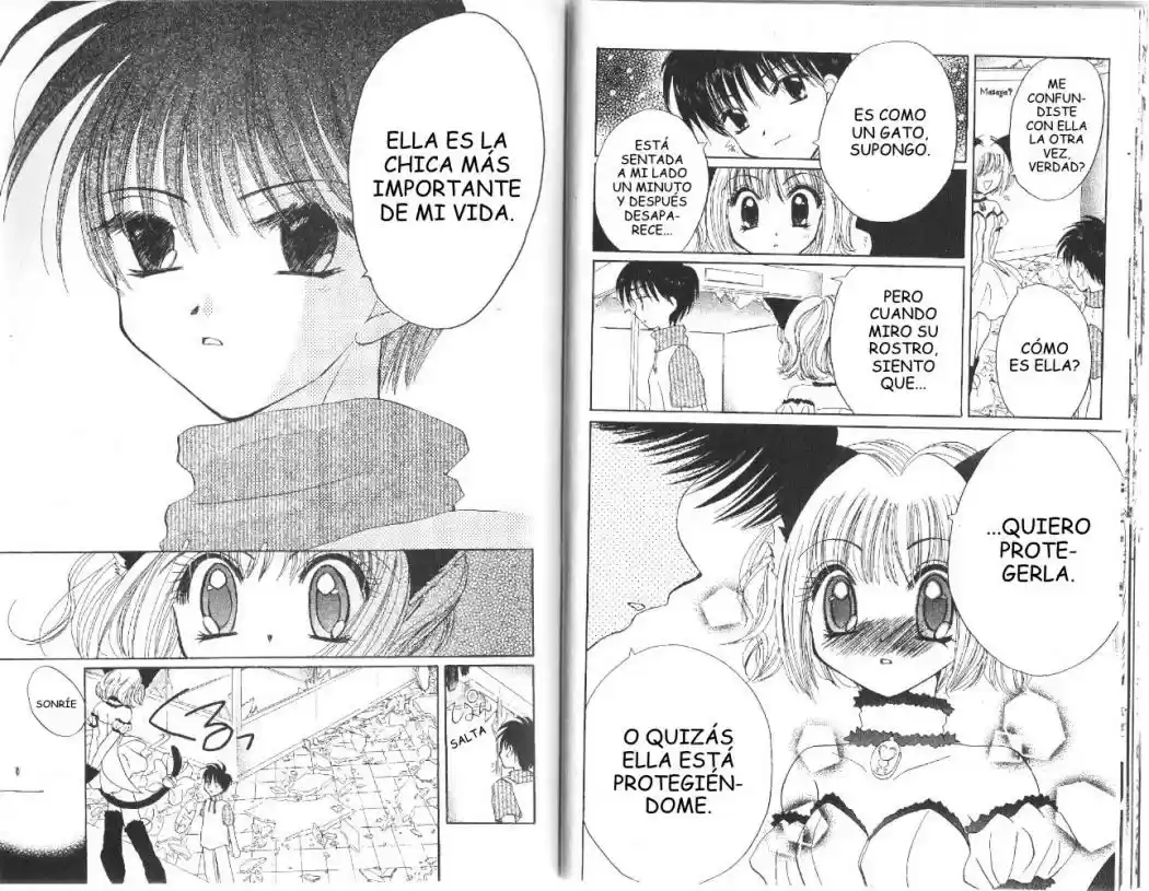 Tokyo Mew Mew (Mew Mew Power) (2000) - Capítulo 19 - Página 14 - LectorTMOo