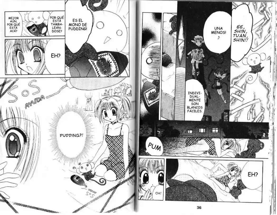 Tokyo Mew Mew (Mew Mew Power) (2000) - Capítulo 19 - Página 19 - LectorTMOo