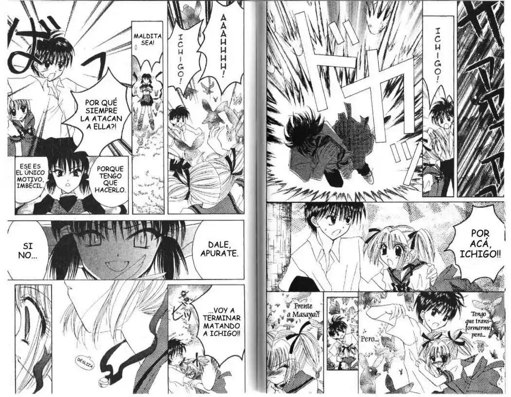 Tokyo Mew Mew (Mew Mew Power) (2000) - Capítulo 21 - Página 9 - LectorTMOo