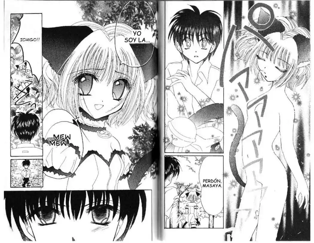 Tokyo Mew Mew (Mew Mew Power) (2000) - Capítulo 21 - Página 11 - LectorTMOo