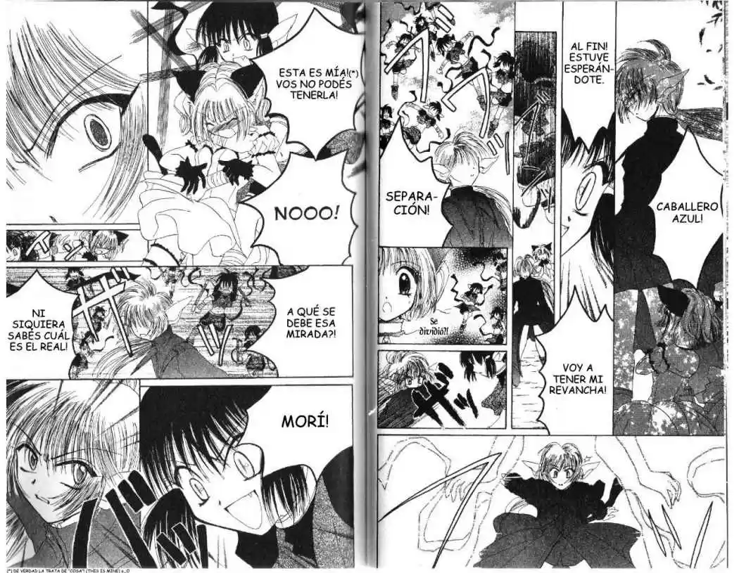 Tokyo Mew Mew (Mew Mew Power) (2000) - Capítulo 21 - Página 13 - LectorTMOo