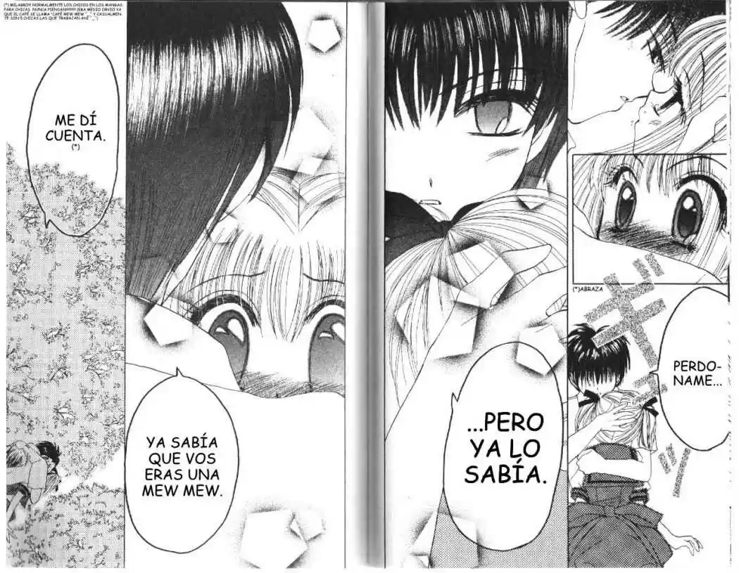 Tokyo Mew Mew (Mew Mew Power) (2000) - Capítulo 21 - Página 17 - LectorTMOo