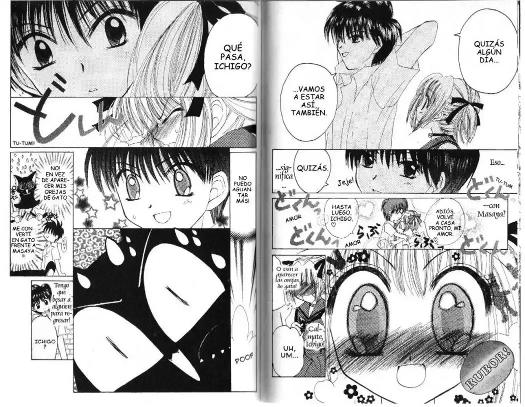 Tokyo Mew Mew (Mew Mew Power) (2000) - Capítulo 22 - Página 13 - LectorTMOo