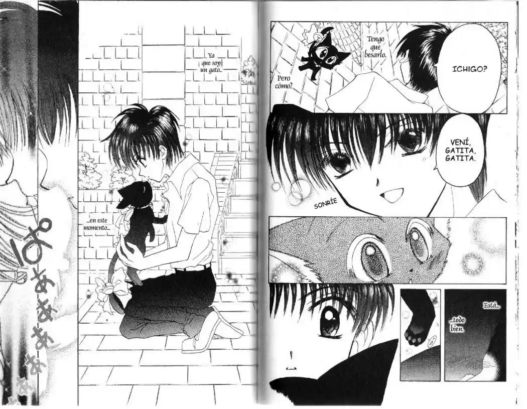 Tokyo Mew Mew (Mew Mew Power) (2000) - Capítulo 22 - Página 14 - LectorTMOo